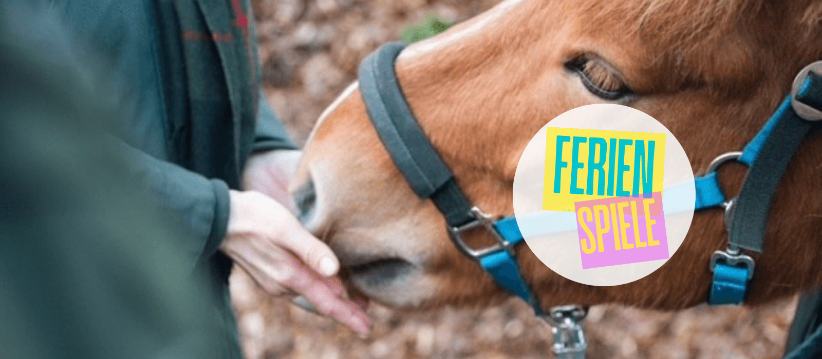 Titelbild für Waldgeflüster & Ponyzauber